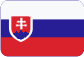 VS - NETCOM v.o.s. Slovensky